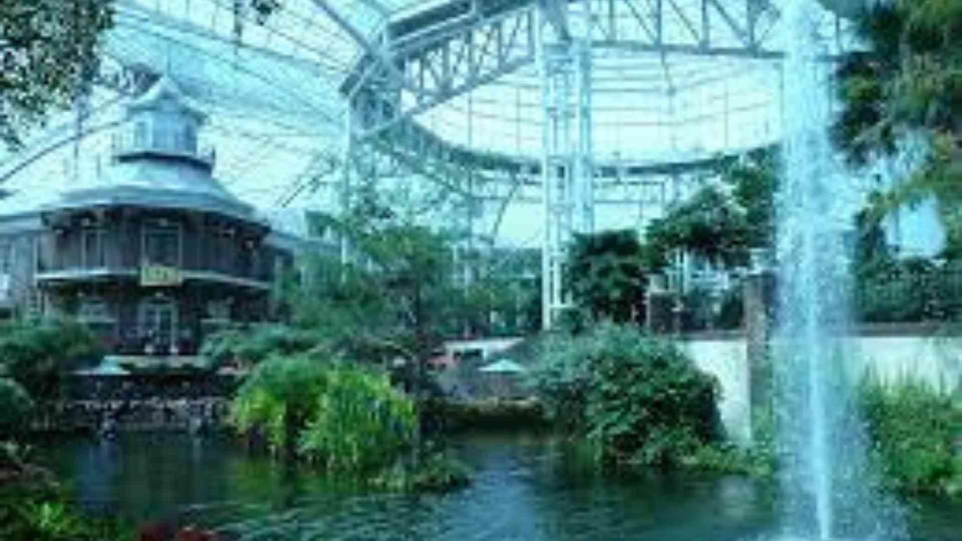 Gaylord Opryland Resort & Convention Center image